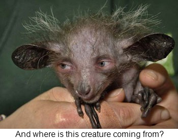 Κάντε κλικ για μεγέθυνση creature_putin