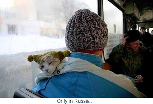 Κάντε κλικ για μεγέθυνση Only_in_Russia