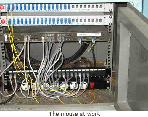 Κάντε κλικ για μεγέθυνση Mouse at work
