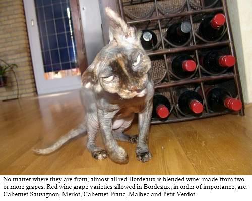 Κάντε κλικ για μεγέθυνση Bordeaux_wines