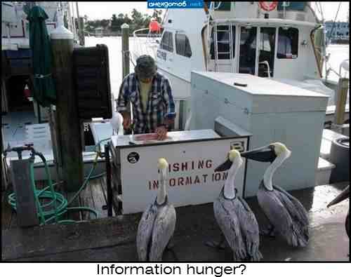 Κάντε κλικ για μεγέθυνση Information hunger