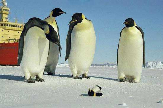 QQ2010-01-03