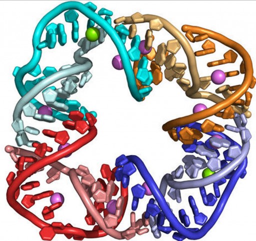RNA νανο-τετράγωνο 