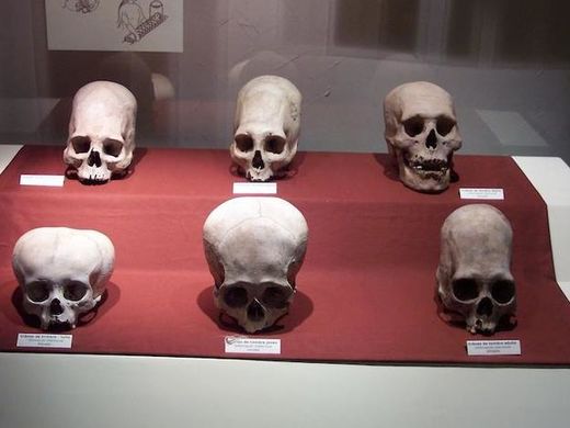 paracas skulls