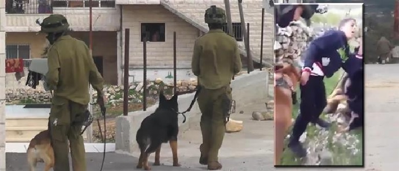 ισραηλινοί στρατιώτες