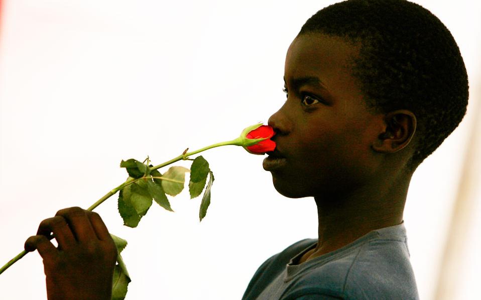 μαύρο παιδί τριαντάφυλλο