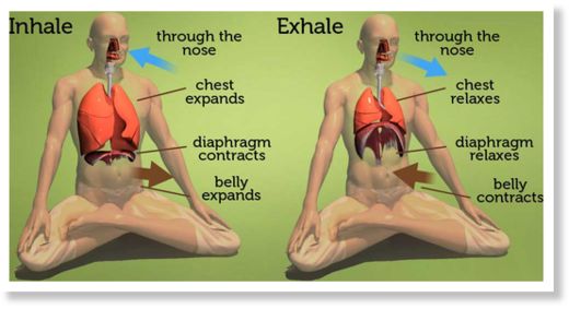 Diaphragm-Breathing
