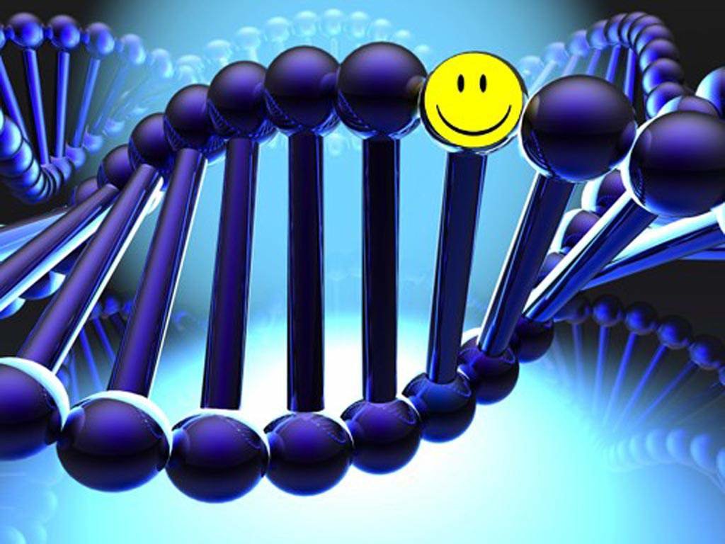 γονίδιο ευτυχίας