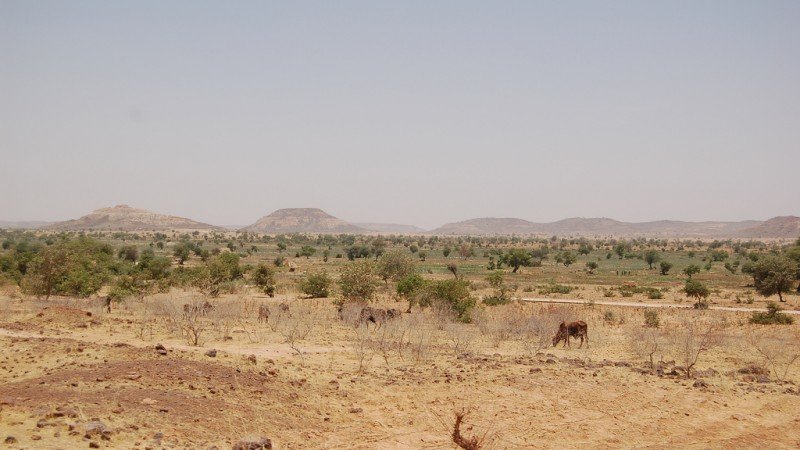 Diffa