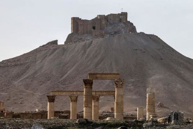 παλμύρα