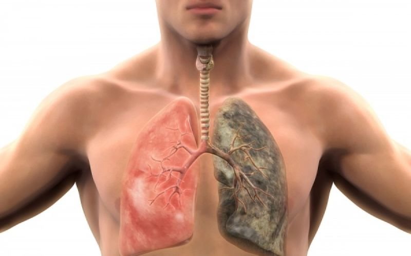 πνεύμονες ατμοσφαιρική ρύπανση