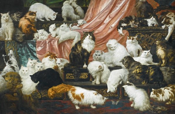 πίνακας γάτες