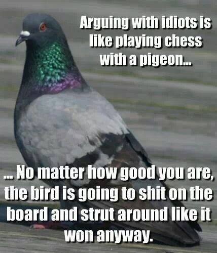 pigeon chess