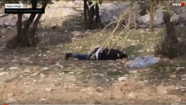 παλαιστίνιος έφηβος
