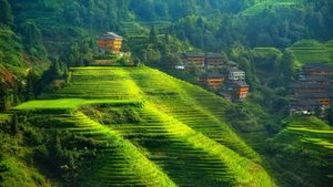Chineese landscape