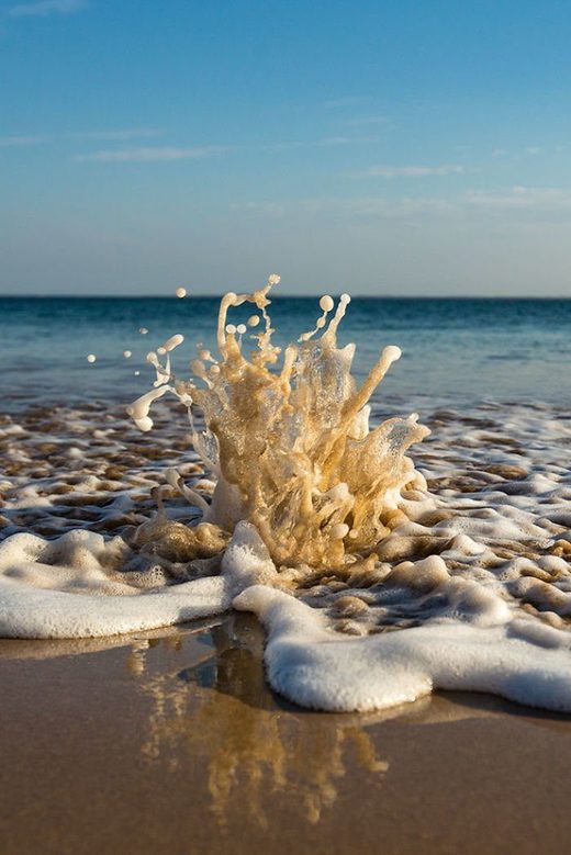 Κάντε κλικ για μεγέθυνση Ocean Fries