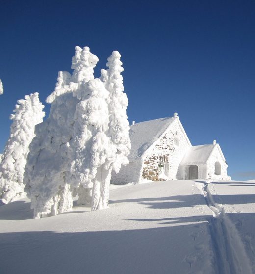Snow Kingdom