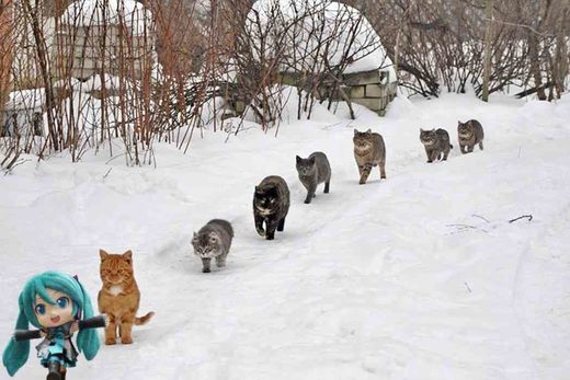 Meanwhile in Russia
