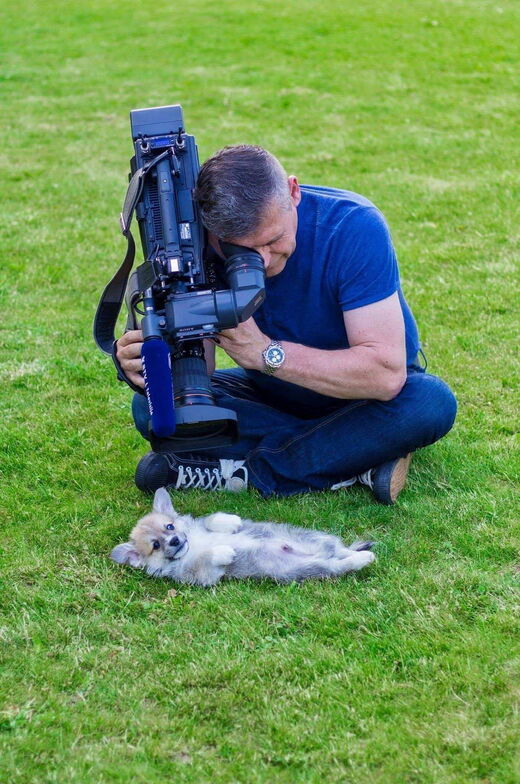 Camera, dog