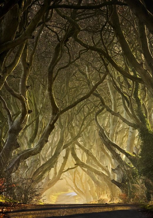 Ireland