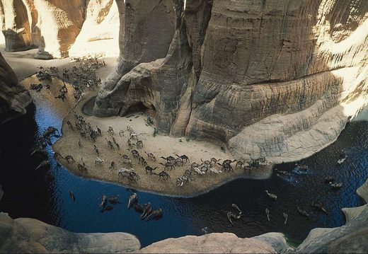 Oasis