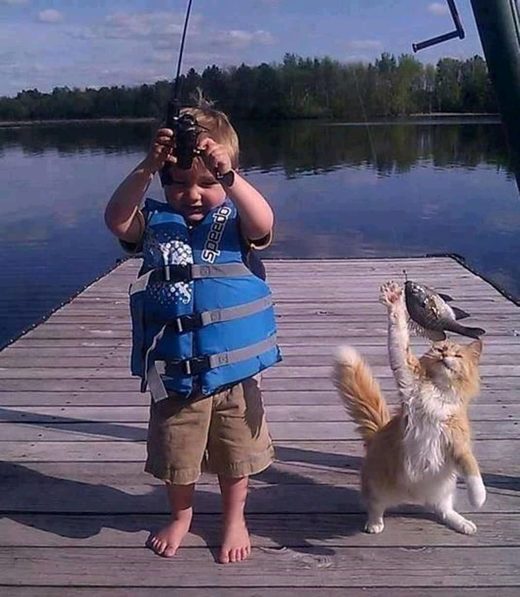 Cat thieve