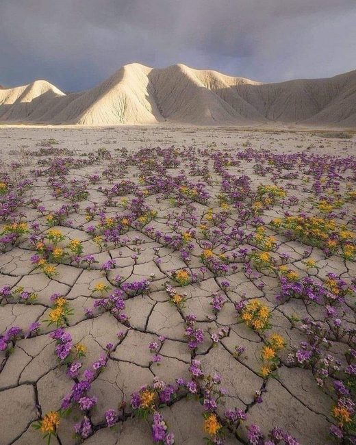 Κάντε κλικ για μεγέθυνση Atacama desert