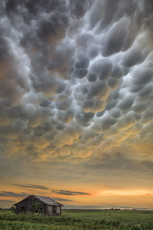 After the storm