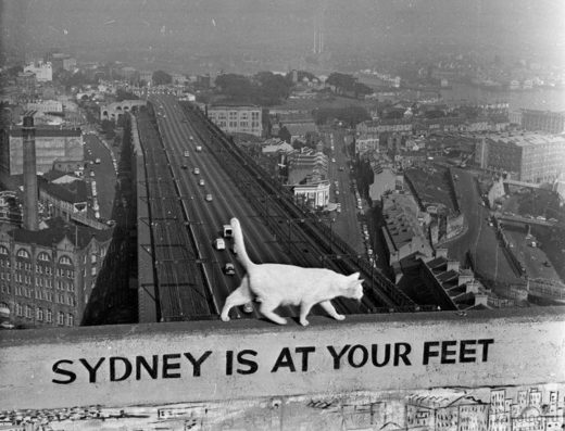 Κάντε κλικ για μεγέθυνση Sydney at your feet