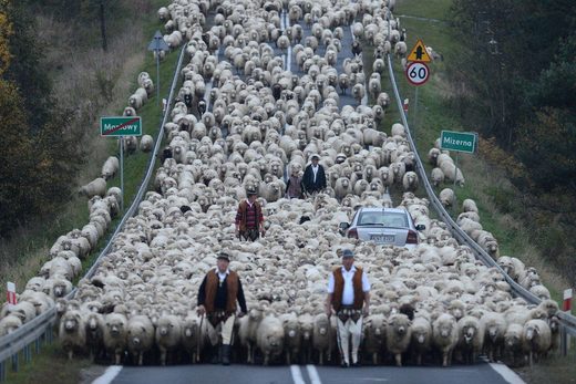 Κάντε κλικ για μεγέθυνση Meanwhile in Poland