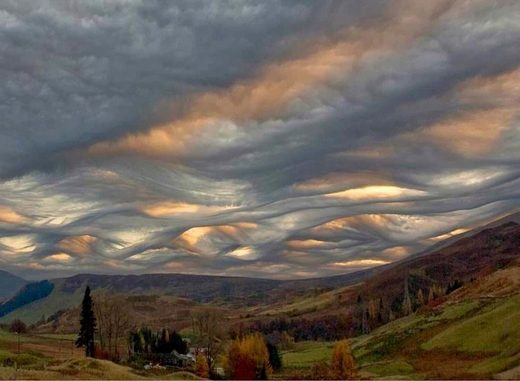 Κάντε κλικ για μεγέθυνση Asperatus