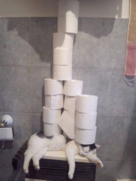 Κάντε κλικ για μεγέθυνση Heavy load of responsibility