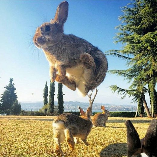 Κάντε κλικ για μεγέθυνση Quantum jumps