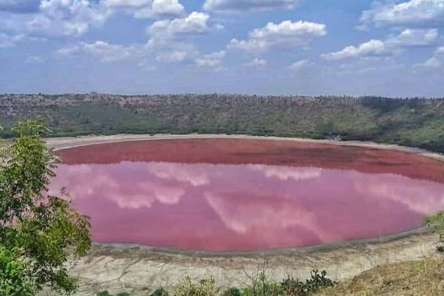 ροζ λίμνη