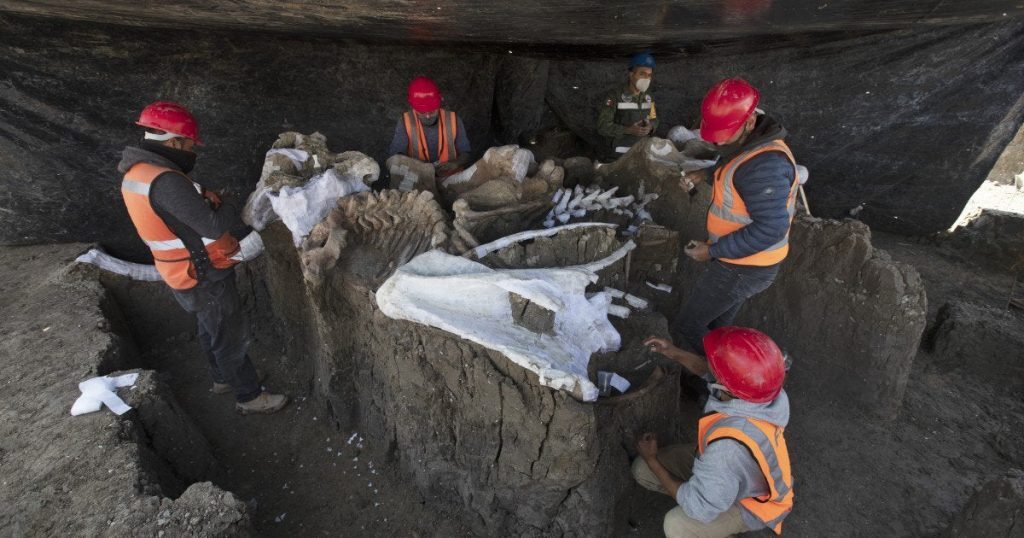 Αρχαιολόγοι μπροστά σε σκελετό μαμούθ στη Σάντα Λουτσία του Μεξικού